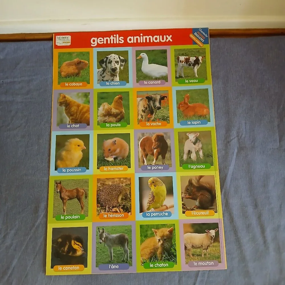 Learning French Educational Posters 30